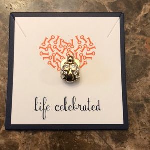 Keep Collective Retired Lady bug charm